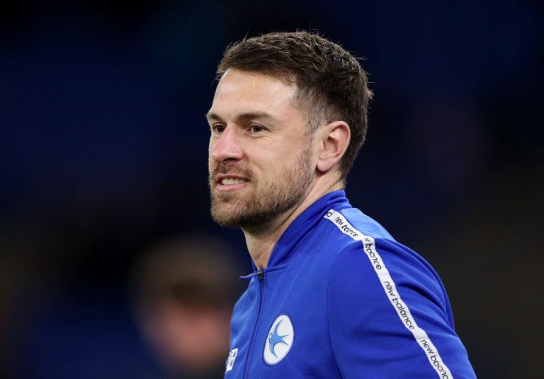 cardiff city.jpg